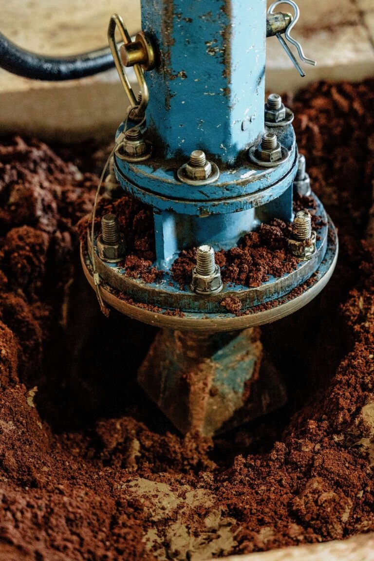 imgi_11_2ef4859ea01a4839c3c8edcb5ae0cfc6-xlarge