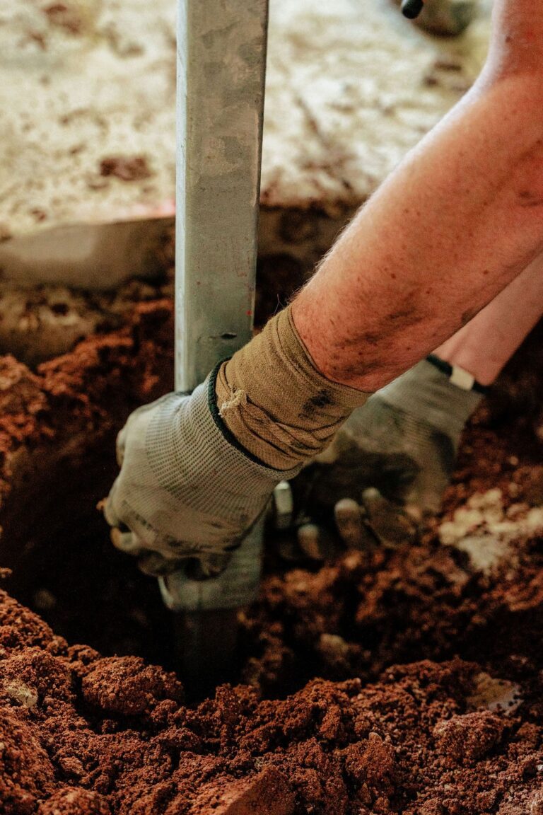 imgi_8_a9954e30535324a48bdc41b393efaacb-xlarge