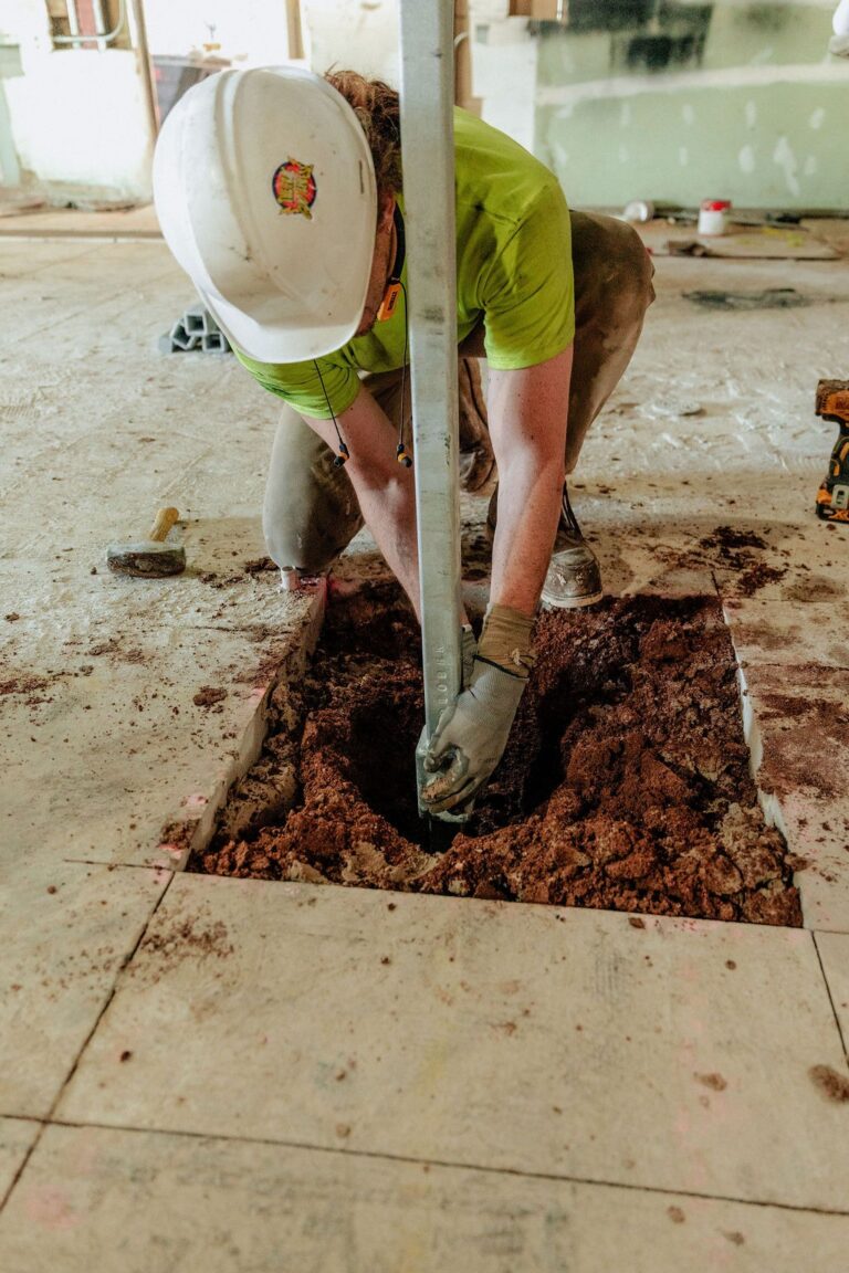 imgi_9_52517ede9eb636fc880dd247c771c31f-xlarge